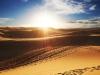 Desert Scene